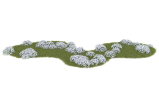 Realistic foliage isolated on transparent background. 3d rendering - illustration png