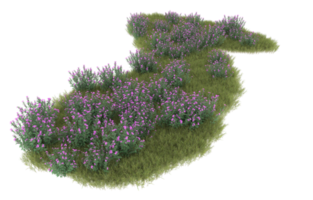 Realistic foliage isolated on transparent background. 3d rendering - illustration png