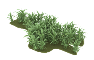 Realistic foliage isolated on transparent background. 3d rendering - illustration png