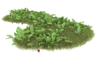 Realistic foliage isolated on transparent background. 3d rendering - illustration png