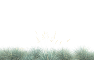 Realistic foliage isolated on transparent background. 3d rendering - illustration png