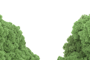 forêt réaliste isolée sur fond transparent. rendu 3d - illustration png