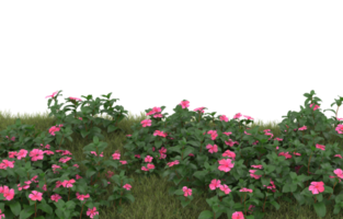 Realistic foliage isolated on transparent background. 3d rendering - illustration png