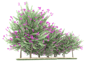 forêt réaliste isolée sur fond transparent. rendu 3d - illustration png