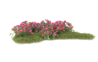 Realistic foliage isolated on transparent background. 3d rendering - illustration png