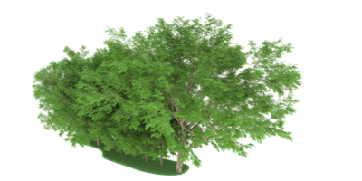 realistischer wald lokalisiert auf transparentem hintergrund. 3D-Rendering - Abbildung png