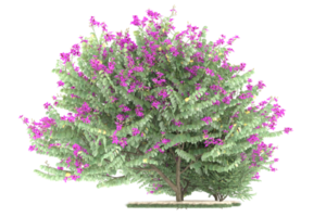 forêt réaliste isolée sur fond transparent. rendu 3d - illustration png