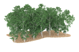 forêt réaliste isolée sur fond transparent. rendu 3d - illustration png