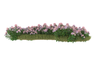 Realistic foliage isolated on transparent background. 3d rendering - illustration png