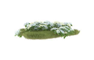 Realistic foliage isolated on transparent background. 3d rendering - illustration png