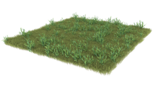 Realistic foliage isolated on transparent background. 3d rendering - illustration png