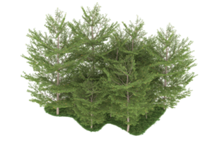 forêt réaliste isolée sur fond transparent. rendu 3d - illustration png