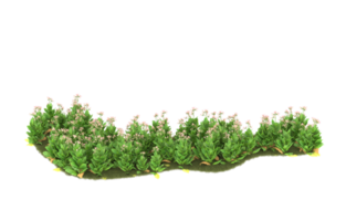 Realistic foliage isolated on transparent background. 3d rendering - illustration png