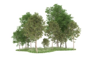 realistico foresta isolato su trasparente sfondo. 3d interpretazione - illustrazione png