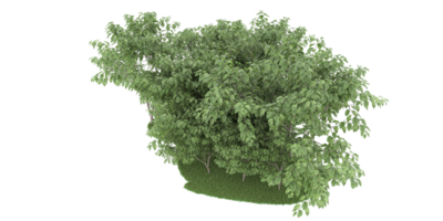 Realistic forest isolated on transparent background. 3d rendering - illustration png