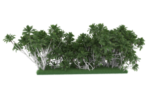 palma alberi isolato su trasparente sfondo. 3d interpretazione - illustrazione png