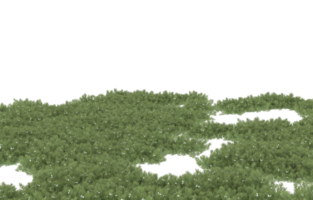 Realistic foliage isolated on transparent background. 3d rendering - illustration png