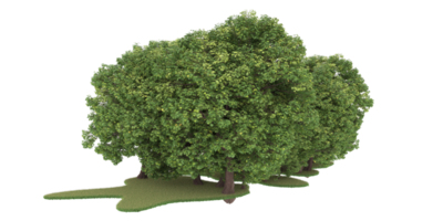 Realistic forest isolated on transparent background. 3d rendering - illustration png