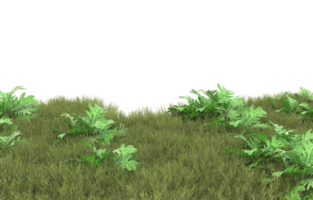 Realistic foliage isolated on transparent background. 3d rendering - illustration png