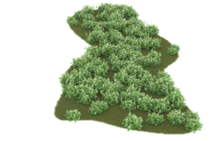 Realistic foliage isolated on transparent background. 3d rendering - illustration png