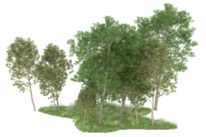 Realistic forest isolated on transparent background. 3d rendering - illustration png