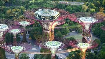 supertree grove, jardín junto a la bahía, singapur video