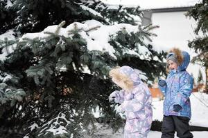 Children play outdoors in snow. Two little sisters near Christmas tree in winter. photo