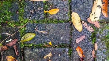 bloque de pavimentación con hojas de otoño como fondo foto