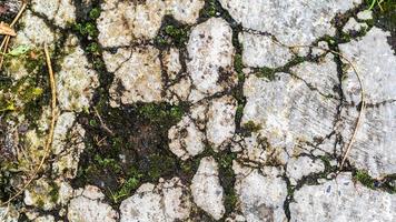old concrete roads that have started to break down and are mossy photo