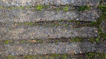 old concrete roads that have started to break down and are mossy photo