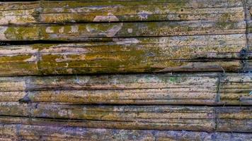 mossy bamboo wall texture as a background photo
