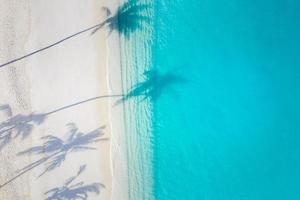 Beach palm trees on the sunny sandy beach and turquoise ocean from above. Amazing summer nature landscape. Stunning sunny beach scenery, relaxing peaceful and inspirational beach vacation template photo