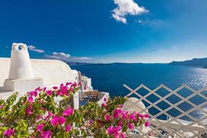 Santorini, Greece. Famous view of traditional white architecture Santorini landscape with flowers in foreground. Summer vacations background. Luxury travel tourism concept. Amazing summer destination photo