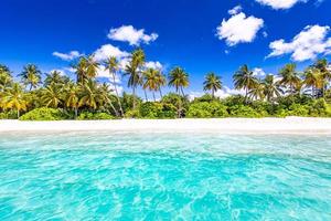 Tranquil beach nature palm trees shore tropical idyllic paradise island. Exotic landscape for dreamy and inspirational summer for background or wallpaper photo