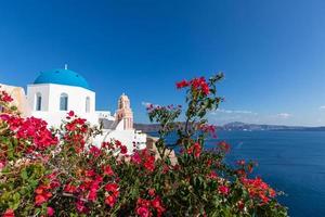 Santorini, Greece. Famous view of traditional white architecture Santorini landscape with flowers in foreground. Summer vacations background. Luxury travel tourism concept. Amazing summer destination photo