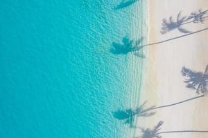 Beach palm trees on the sunny sandy beach and turquoise ocean from above. Amazing summer nature landscape. Stunning sunny beach scenery, relaxing peaceful and inspirational beach vacation template photo