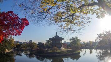 Mysterious and Beautiful Seoul photo