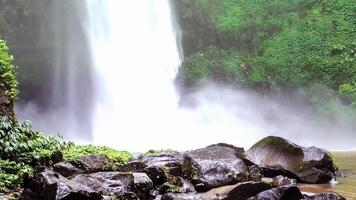 Discover the mysterious beauty of Brazil and Scotland photo