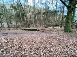 una vista de la campiña de cheshire en peckforton foto