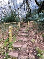 una vista de la campiña de cheshire en peckforton foto