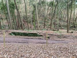 una vista de la campiña de cheshire en peckforton foto