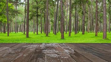 Wooden floor with nature green pine landscape background photo