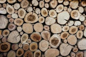 Wood circles pattern of cutted tree trunks. The round pieces are of different sizes. Abstract background,Wood cross slice photo