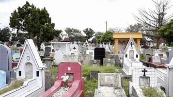 cementerio público con tumbas variadas. foto