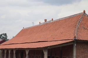 A tile-roofed house made of earth with a unique, simple interior texture photo