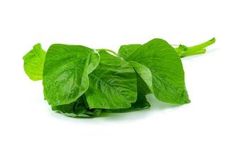 Green spinach leaf or Amaranthus viridis  in Thailand  isolated on white background ,Green leaves pattern photo