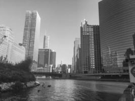 chicago in the usa photo