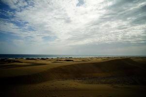 Sand dunes by the sea photo