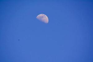 Moon in the blue sky photo