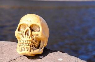 Skull miniature on the rock photo